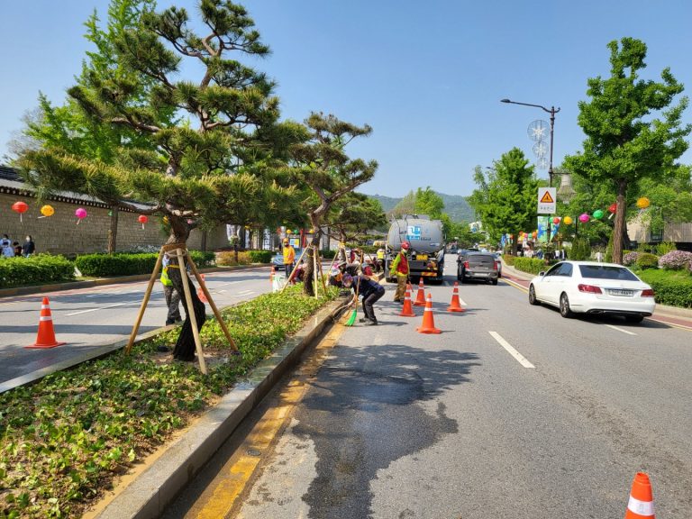 청와대 앞 꽃길관수1